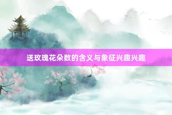 送玫瑰花朵数的含义与象征兴趣兴趣