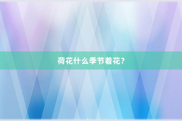 荷花什么季节着花？