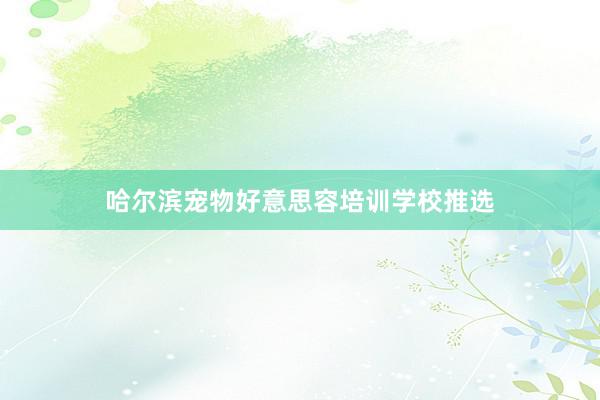 哈尔滨宠物好意思容培训学校推选