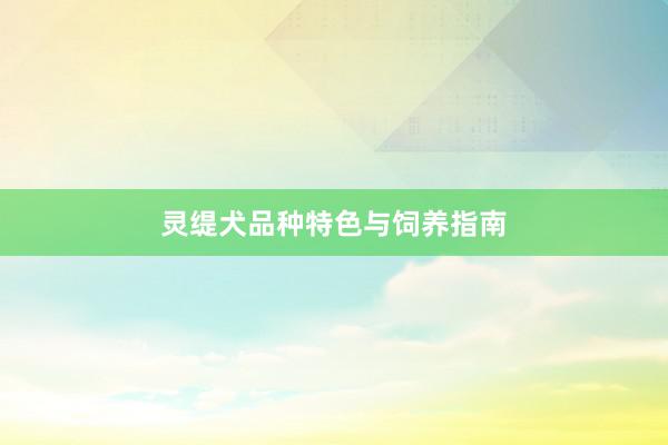 灵缇犬品种特色与饲养指南